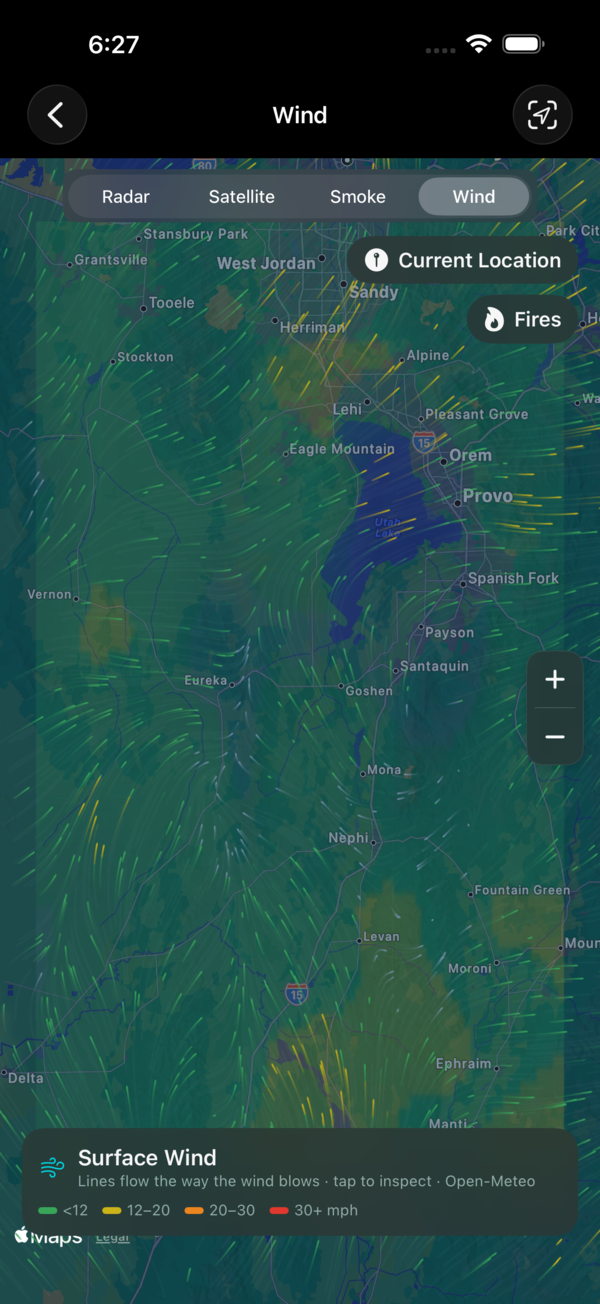 Live surface wind field map